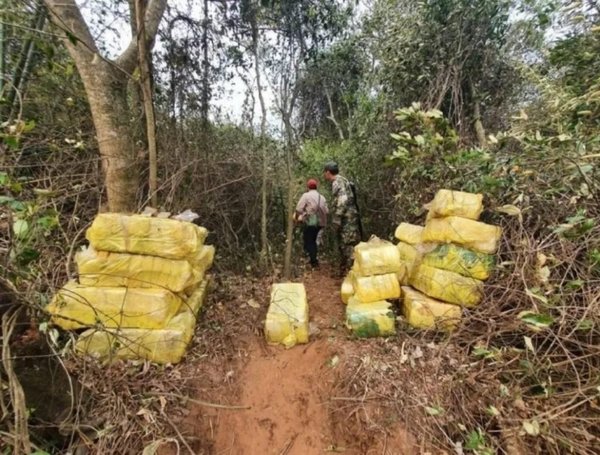 Hallan más de 1.000 kilos de droga a orillas del río Paraná | Noticias Paraguay