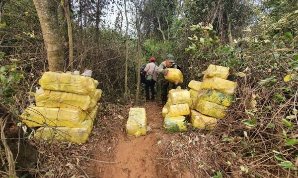 Operativo veda pesquera termina en incautación de más de 1000 k de marihuana