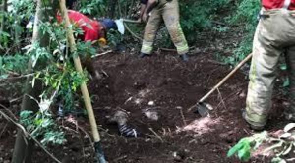Identifican 3 de los 4 cadáveres encontrados en una fosa en Pedro Juan