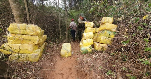 La Nación / Incautan más de mil kilos de marihuana a orillas del Paraná