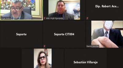 Dictamen negativo sobre reglamento de pérdida de investidura