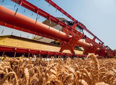 Nueva partida de envíos de trigo inicia con 78 % de reducción | OnLivePy