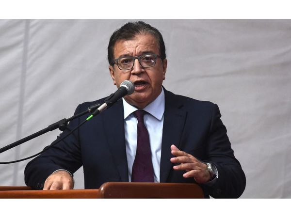 Nicanor   defiende veto presidencial y llamó cínicos a opositores