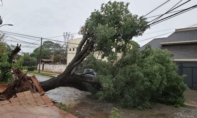 Meteorología registró vientos de hasta 118 km/h durante tormenta