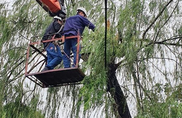 Tormenta dejó a 200.000 usuarios sin energía y ANDE activó su código rojo - Nacionales - ABC Color