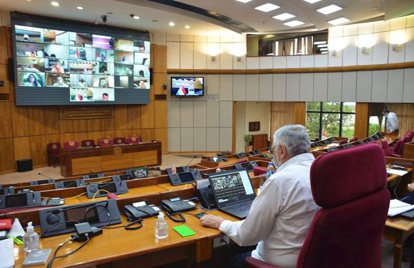 Senado rechaza veto de Abdo a transparentar binacionales - Nacionales - ABC Color