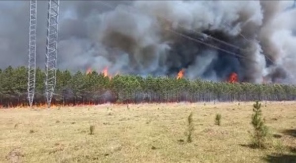 Incendios en Isla Yacyretá y Ayolas fueron provocados