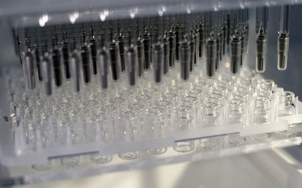 Las miles de mutaciones del SARS-CoV-2 no aumentan su capacidad de contagio - Ciencia - ABC Color