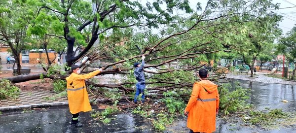 Asunción reporta más de 50 árboles caídos en la ciudad - Megacadena — Últimas Noticias de Paraguay