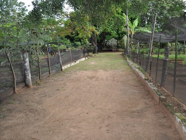 Apartarán a director de Tacumbú tras denuncia de interno con regimen semiabierto · Radio Monumental 1080 AM