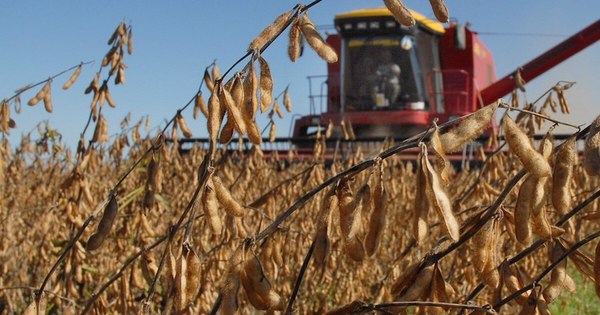 La Nación / La pandemia y el petróleo barato hacen caer los biocarburantes por primera vez en 20 años