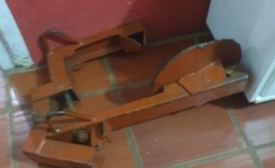Conductor devolvió el cepo de la PMT pero la denuncia se mantiene