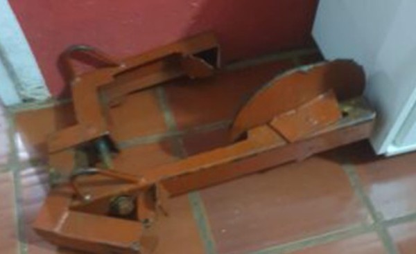 Conductor devolvió el cepo de la PMT pero la denuncia se mantiene