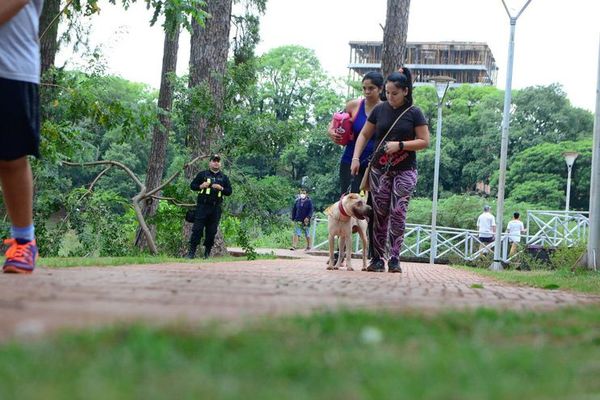 Multa para quienes saquen a pasear a sus mascotas sin collar, cadena ni bozal - Noticiero Paraguay