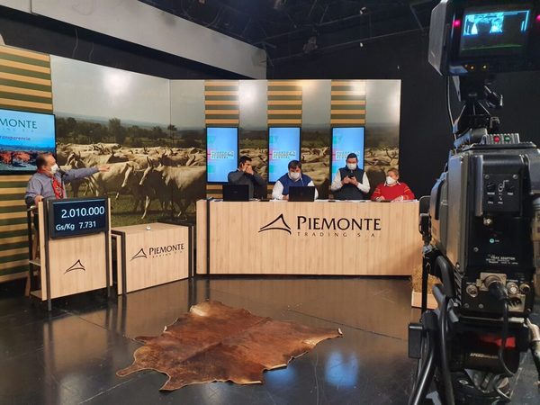 Mañana sábado, Piemonte remata 900 cabezas de invernada por televisión