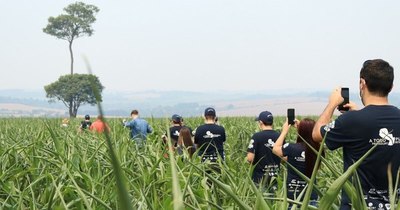 La Nación / Se conocerán a los ganadores de Colosos de la Tierra 2020