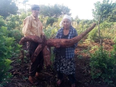 Crónica / “Bendecidos” con gigante producción