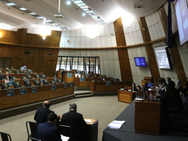 Diputados posterga tratamiento de veto y esperan reacción ciudadana