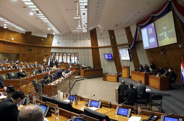Oposición buscará votos para rechazar el veto en Diputados