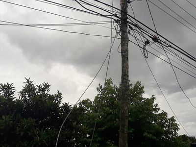 Perro murió electrocutado por un cable suelto