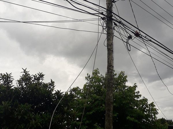 Perro murió electrocutado por un cable suelto