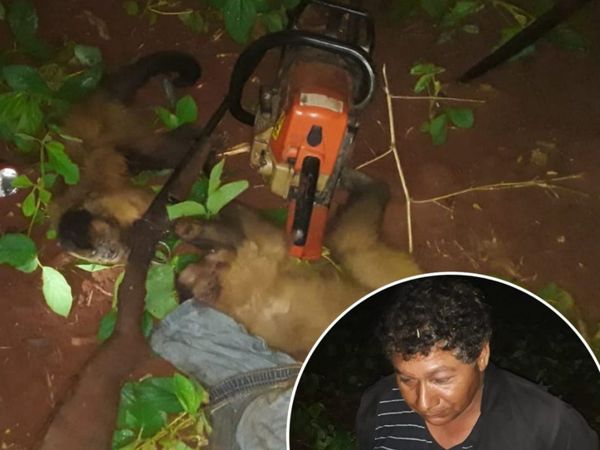 Agarran a cazador de monitos silvestres
