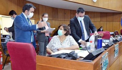 PGN 2021: “Vamos a tener que desacelerar la fuerza de la inversión” - Nacionales - ABC Color