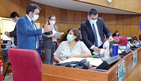 PGN 2021: “Vamos a tener que desacelerar la fuerza de la inversión” - Nacionales - ABC Color