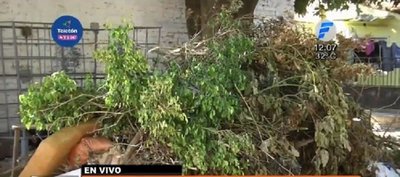 Vereda de escuela está hecha un vertedero | Noticias Paraguay