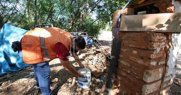 La Nación / Dengue: aumento sostenido de notificaciones indica nuevo período