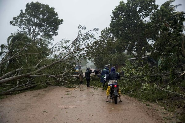La madera tumbada por los huracanes en Nicaragua: ¿para afectados o explotadores? - MarketData