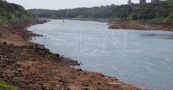 La Nación / Menor de 17 años se ahoga en aguas del río Paraná