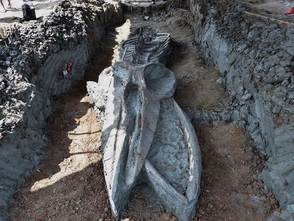 Descubren el fósil casi intacto de un cetáceo de 3.000 años