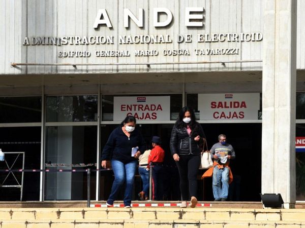Proponen una ley  para que la ANDE  recupere la autarquía