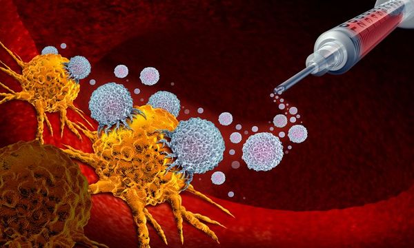 Crean anticuerpos que reconocen células tumorales, clave en vacuna del cáncer - Ciencia - ABC Color