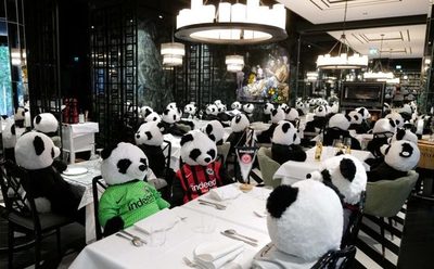 Restaurante alemán utiliza osos de peluche para protestar contra la pandemia