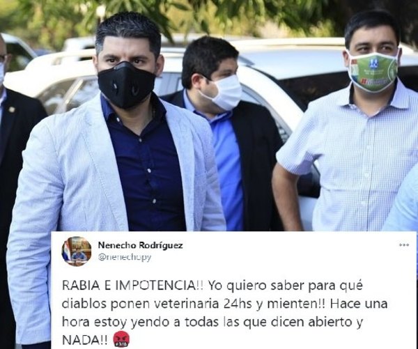 Crónica / Nenecho ipochy con las veterinarias que "mienten con sus 24 horas"