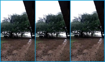 Lluvia trae alivio a productores del Pilcomayo