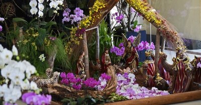 La Nación / Sorprenden pesebres, arbolitos y muñecos de orquídeas