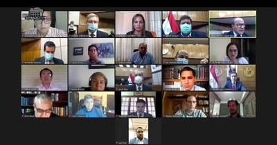 La Nación / Movilidad eléctrica tuvo aceptación en audiencia pública