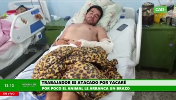 Un hombre es atacado por un Yakaré que casi el arranca el brazo