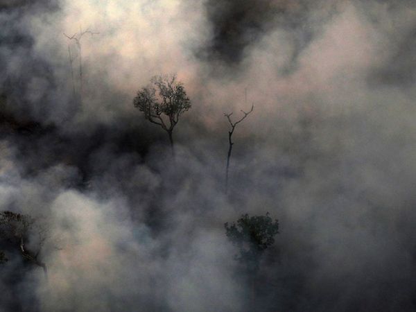 La deforestación en la Amazonía brasileña crece un 9,5% en el último año