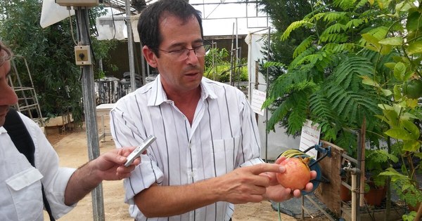 La Nación / Regresan los cursos de cooperación internacional israelí a Paraguay