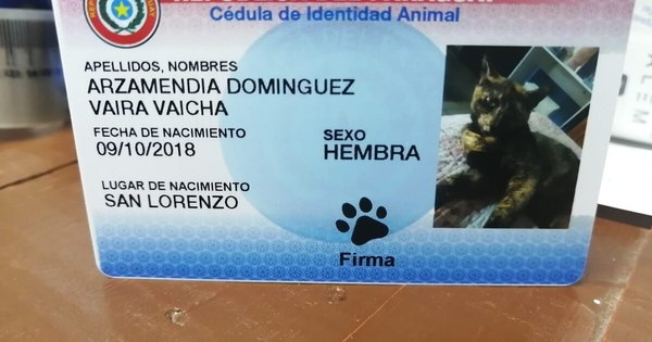 La Nación / C. I. animal: “Una forma de demostrar amor y que la mascota pertenece a la familia”