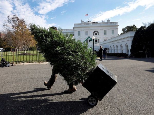 Melania Trump presenta la decoración navideña de la Casa Blanca tras polémica