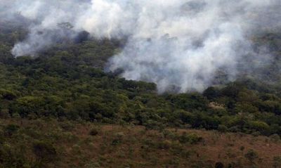 La deforestación en la Amazonía es la más alta en 12 años