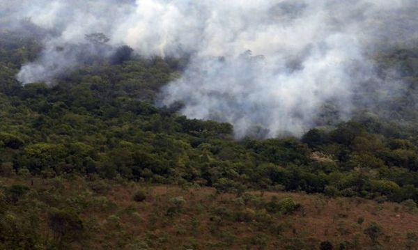 La deforestación en la Amazonía es la más alta en 12 años