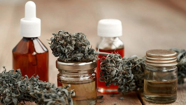 Argentina inaugura el primer laboratorio de cannabis medicinal