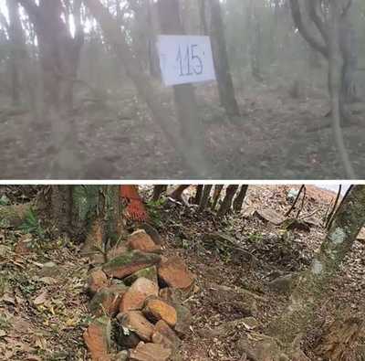 Dieron vía libre a Mbururú y su caterva de invasores para arrasar con reserva