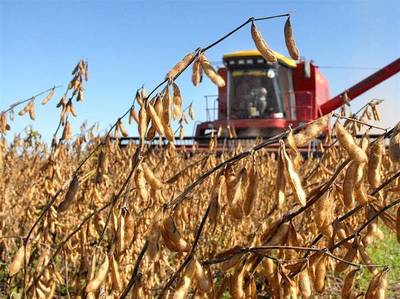 El precio de soja llegó a valores no registrados desde el 2016